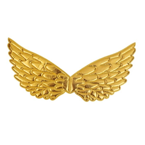 Aripi aurii copii - imagine 9